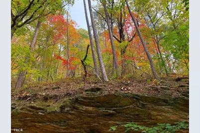 1020 Mayfield Lane, Ranger, GA 30734 - Photo 12