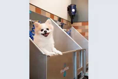 935 Marietta Street NW #737, Atlanta, GA 30318 - Photo 24