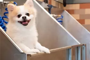 935 Marietta St NW, Atlanta, GA 30318 - Photo 24