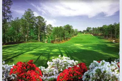 1022 Carl Sanders Drive, Acworth, GA 30101 - Photo 10