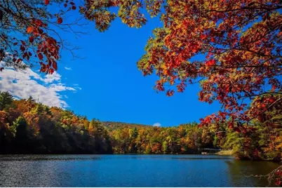 154 Lake Forest Lot 52 Drive, Ellijay, GA 30540 - Photo 14