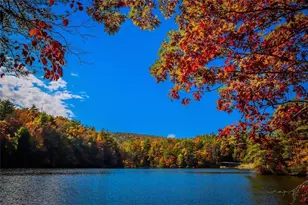 154 Lake Forest Dr Lot 52, Ellijay, GA 30540 - Photo 14