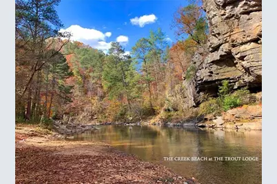 953 Longbranch Drive, Ranger, GA 30734 - Photo 14