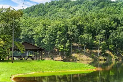 953 Longbranch Drive, Ranger, GA 30734 - Photo 42