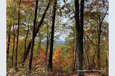 953 Longbranch Drive, Ranger, GA 30734 - Photo 10