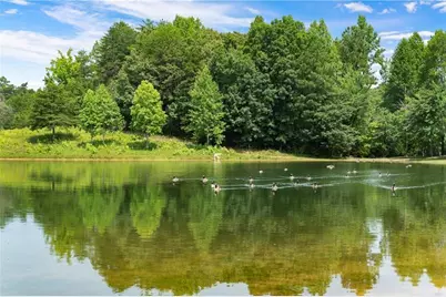 953 Longbranch Drive, Ranger, GA 30734 - Photo 44