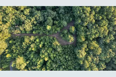 50 Loyal Drive, Dahlonega, GA 30533 - Photo 8