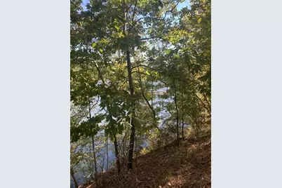 0 Harbour Pointe, Sparta, GA 31087 - Photo 10