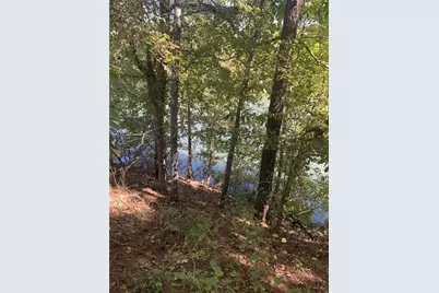 0 Harbour Pointe, Sparta, GA 31087 - Photo 8