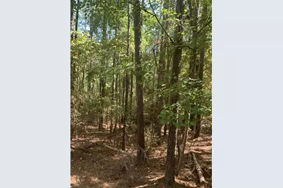 0 Harbour Pointe, Sparta, GA 31087 - Photo 6