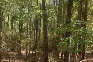 0 Harbour Pointe, Sparta, GA 31087 - Photo 6