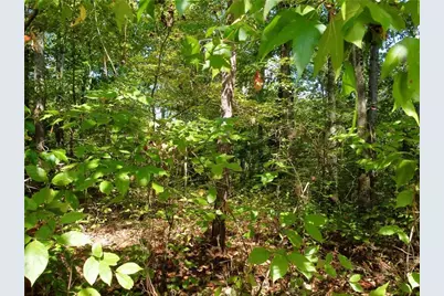 350 Hummingbird Drive, Monticello, GA 31064 - Photo 8