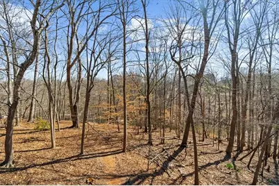 6137 White Oak Drive, Flowery Branch, GA 30542 - Photo 52