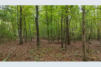 0 Rider Road, Dawsonville, GA 30534 - Photo 1