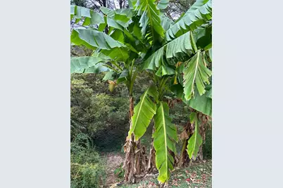 5655 Campbellton Road SW, Atlanta, GA 30331 - Photo 32