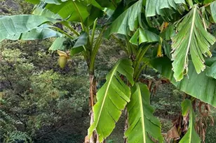 5655 Campbellton Rd SW, Atlanta, GA 30331 - Photo 32