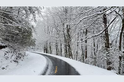 1012 Wild Turkey Bluff, Jasper, GA 30143 - Photo 8