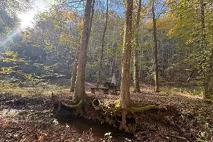 650 Mulberry Trail, Ellijay, GA 30540 - Photo 10