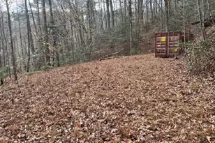 650 Mulberry Trail, Ellijay, GA 30540 - Photo 34