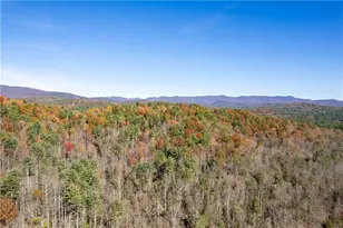 650 Mulberry Trail, Ellijay, GA 30540 - Photo 8