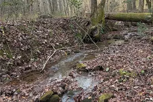 650 Mulberry Trail, Ellijay, GA 30540 - Photo 28