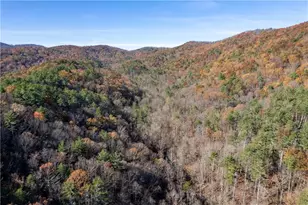 650 Mulberry Trail, Ellijay, GA 30540 - Photo 8