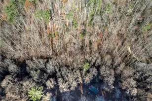 650 Mulberry Trail, Ellijay, GA 30540 - Photo 24