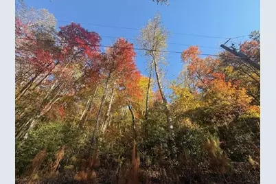 650 Mulberry Trail, Ellijay, GA 30540 - Photo 2