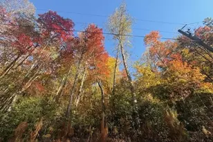 650 Mulberry Trail, Ellijay, GA 30540 - Photo 2