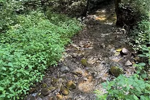 650 Mulberry Trail, Ellijay, GA 30540 - Photo 30