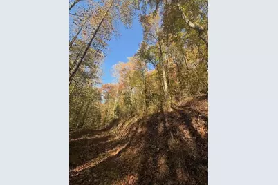 650 Mulberry Trail, Ellijay, GA 30540 - Photo 14