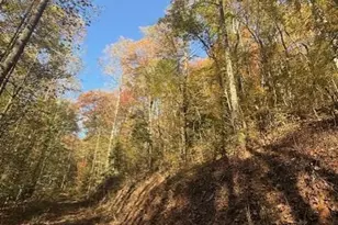 650 Mulberry Trail, Ellijay, GA 30540 - Photo 14