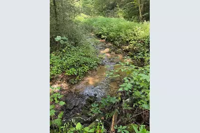 650 Mulberry Trail, Ellijay, GA 30540 - Photo 4