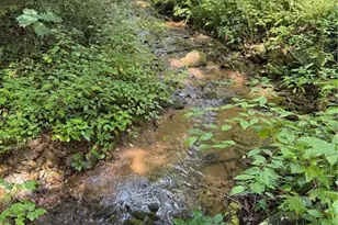 650 Mulberry Trail, Ellijay, GA 30540 - Photo 4