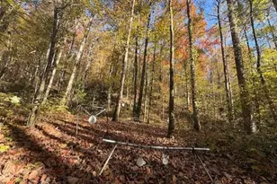 650 Mulberry Trail, Ellijay, GA 30540 - Photo 12