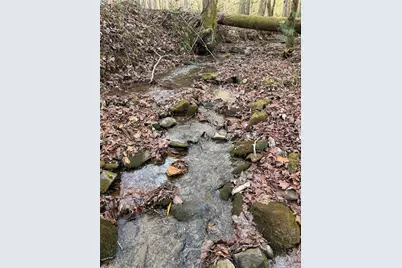 650 Mulberry Trail, Ellijay, GA 30540 - Photo 30