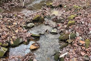 650 Mulberry Trail, Ellijay, GA 30540 - Photo 30