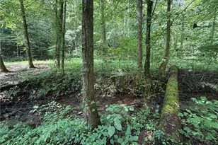 650 Mulberry Trail, Ellijay, GA 30540 - Photo 28