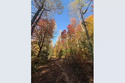 650 Mulberry Trail, Ellijay, GA 30540 - Photo 12