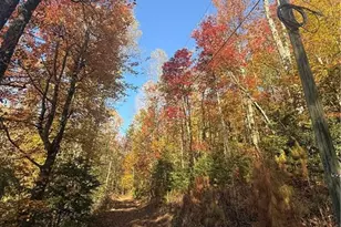 650 Mulberry Trail, Ellijay, GA 30540 - Photo 12