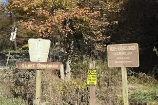 650 Mulberry Trail, Ellijay, GA 30540 - Photo 14