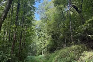 650 Mulberry Trail, Ellijay, GA 30540 - Photo 32