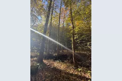 650 Mulberry Trail, Ellijay, GA 30540 - Photo 10