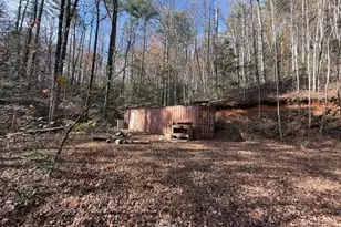 650 Mulberry Trail, Ellijay, GA 30540 - Photo 16