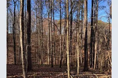 129 Adair Drive NE, Ranger, GA 30734 - Photo 4