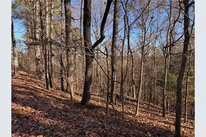 129 Adair Drive NE, Ranger, GA 30734 - Photo 1