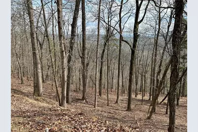 803 Greenwood Circle, Ranger, GA 30734 - Photo 6