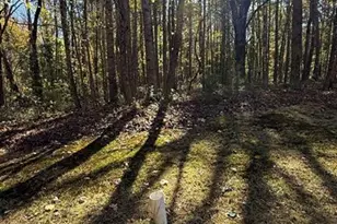 Lot 15 Fairview Springs Dr, Ellenwood, GA 30284 - Photo 2