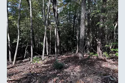 Tract3 Turniptown Road, Ellijay, GA 30536 - Photo 16