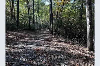 Tract3 Turniptown Road, Ellijay, GA 30536 - Photo 12